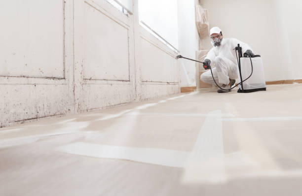 24/7 Emergency Black Mold Remediation experts in Wellington, FL